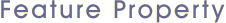 feature property